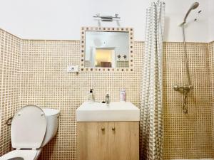 巴耶格兰雷伊Casa Rural Arturo的一间带水槽、卫生间和镜子的浴室