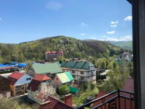 波利亚纳Апартаменты центр Солнечное Закарпатье的享有小镇和山脉的美景
