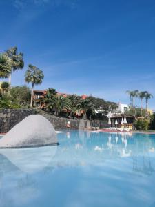 洛思坎加约斯圣安东尼奥绿洲公寓的一座大型游泳池,水中岩石