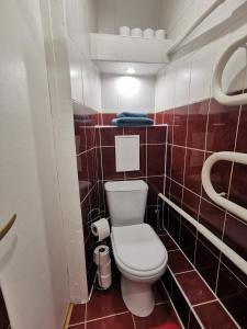 帕内韦日斯R&J Apartment II的一间带卫生间的浴室和红色瓷砖墙壁。