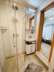 茨文考Haus zum See的带淋浴和盥洗盆的浴室