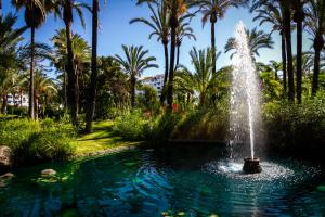 马贝拉MARBELLA BANUS SUITES - Bird Of Paradise Playas del Duque Banús Suite Apartment的棕榈树池塘中央的喷泉