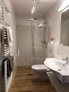斯拉德明Appartement Schwab Ski in & Out的带淋浴、卫生间和盥洗盆的浴室