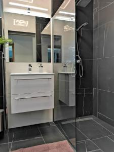 巴拉顿阿卡拉提亚Otium Wellness Apartmanház的浴室配有白色水槽和淋浴。