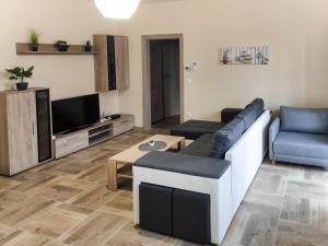 萨尔瓦尔Trika Apartman的带沙发和电视的客厅
