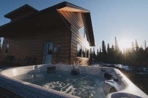 希利Denali Wild Stay - Bear Cabin with Hot Tub and Free Wifi, Private, sleep 6的相册照片