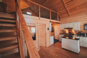 希利Denali Wild Stay - Bear Cabin with Hot Tub and Free Wifi, Private, sleep 6的相册照片