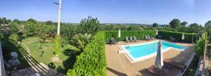 马丁纳弗兰卡红玫瑰住宿加早餐旅馆的花园游泳池的顶部景色