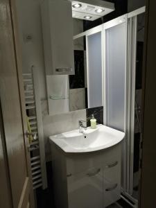 新瓦罗什Duh Zlatara的浴室设有白色水槽和镜子