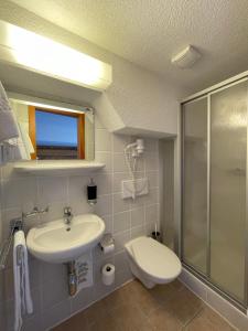 波尼纳豪瑟Hotel Bernina Hospiz的一间带水槽、卫生间和淋浴的浴室