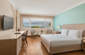大雅台塔尔观景酒店的配有一张床和一张书桌的酒店客房