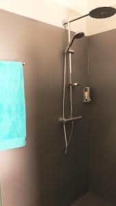 南特Chez Victoria Nantes Erdre的带淋浴和蓝色毛巾的浴室