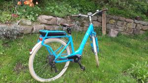 蒂蒂湖-新城Blockhaustraum的一辆蓝色的自行车停在草地上
