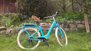 蒂蒂湖-新城Schwarzwaldblick的停在草地上的一辆蓝色自行车