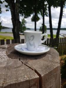 普拉特利艾North Lake Villa Plateliai的坐在桌子上的一个咖啡杯