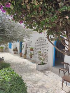 西迪·布·赛义德Suite à sidi bou Saïd的庭院拥有白色的墙壁和蓝色的门,树木繁茂