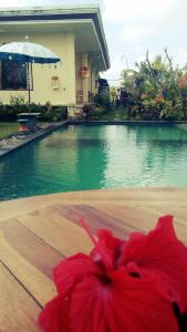 Beras Bali Suite内部或周边的泳池