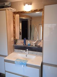 沙勒罗瓦Sweet home的一间带水槽和镜子的浴室