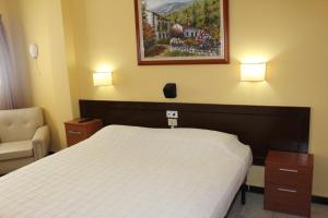 大加那利岛拉斯帕尔马斯奥林匹亚酒店的一间卧室配有一张床、一把椅子和一幅画