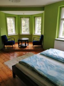 波兰尼卡-兹德鲁伊Baltic Home的绿色的客房配有一张床、一张桌子和椅子