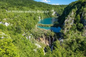 普利特维采村B&B Plitvica Hill的峡谷里的河流,距离峡谷有10分钟的步行路程