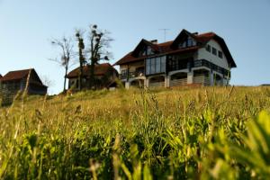 LesičnoWooden fairytale的坐在草山顶上的房子