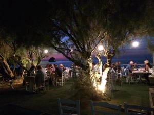 阿波罗尼亚V-rooms in Milos Cyclades的一群人晚上坐在树下桌子旁