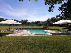 MontecchioVilla Lisabetta的院子里带两把遮阳伞的游泳池