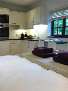 威利斯伯恩黑斯庭The Burrow的厨房配有白色橱柜和床上的紫色枕头