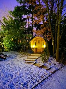 朱里耶纳Chateau des Janroux的雪中灯火通明的树屋