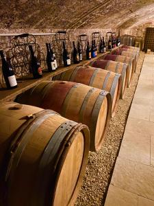 朱里耶纳Chateau des Janroux的酒窖里的一排酒桶