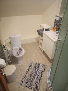 帕卢舍Palūšės Kempingas (kambariai)的一间带卫生间和水槽的浴室