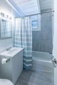 蓝山Boutique Suite #6的白色的浴室设有水槽和淋浴。