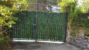 圣埃拉莫因科莱Casa vacanza Villa Tiziana的常春藤环绕着它的铁门