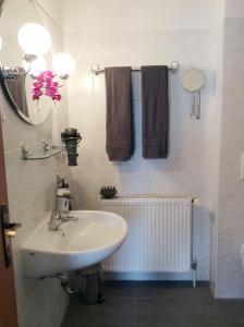 青斯特Zur Wellenwiese 15的浴室配有盥洗盆、镜子和毛巾