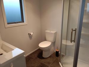 里士满Richmond, Nelson 3brm New Home的一间带卫生间和玻璃淋浴间的浴室
