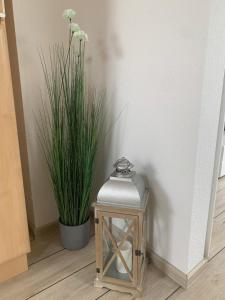 格洛米茨Ferienwohnung Maximilian的墙上挂着植物的小桌子