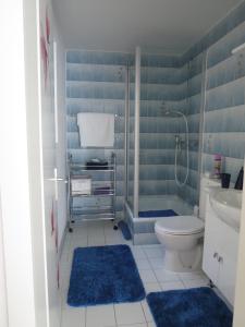 马里勒格兰德安德烈住宿加早餐旅馆的蓝色的浴室设有卫生间和淋浴。
