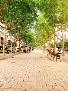 雷乌斯Tarragonaapartments Prim Reus的一条树成荫的街道,有长凳和树木
