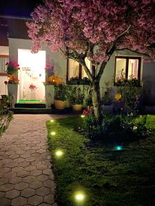 巴特奥塞Haus Belli的草地上树木和灯光的花园