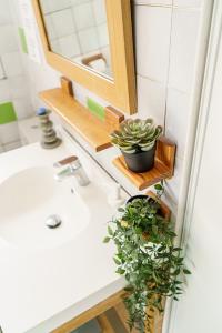 索尔特奥瑟戈尔Roofless Surf Lodge的浴室水槽,配有镜子和盆栽植物