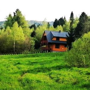 韦特利纳DoMarka całoroczny dom w Bieszczadach的绿草丛中的木屋