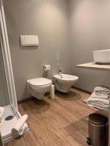 特伦托弗莱比克酒店的一间带卫生间和水槽的浴室
