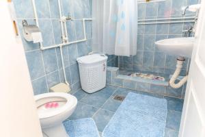 索科矿泉村Apartmani Nodi的一间带卫生间和水槽的浴室