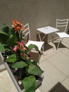 Beʼer OraQuiet place的种植园里的桌子和两把椅子,植物