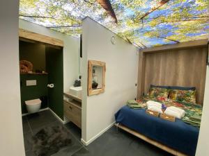 赫拉尔兹贝亨B&B Le Jardin de Sophie的一间卧室配有一张带星空天花板的床
