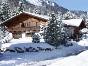 坦海姆Landhaus Pichler的雪中树下的小木屋