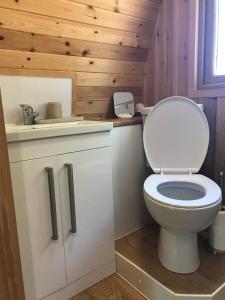 马汉莱斯Cil y Coed Luxury Pod的浴室配有白色卫生间和木墙