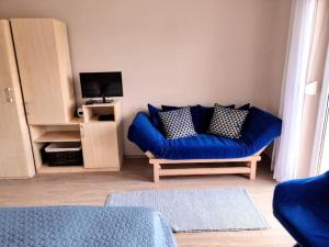 比克利比思公寓的客厅配有蓝色的沙发和电视