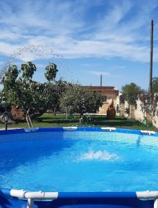 科佩尔蒂诺Casale in villa tipica Salentina con Piscina的大型蓝色游泳池,喷水到空气中